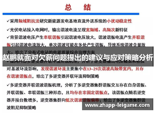 赵鹏就面对欠薪问题提出的建议与应对策略分析