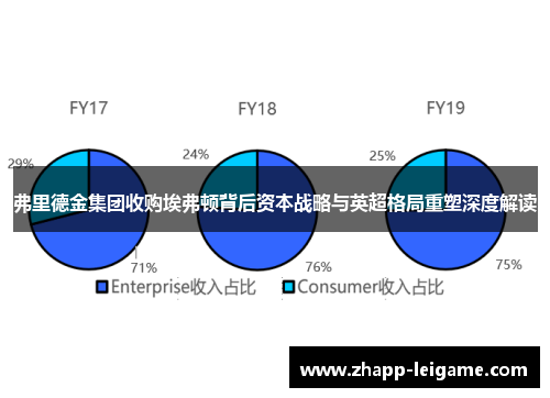 弗里德金集团收购埃弗顿背后资本战略与英超格局重塑深度解读 弗里德金集团收购埃弗顿背后资本战略与英超格局重塑深度解读